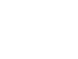 White Logo of HireVP